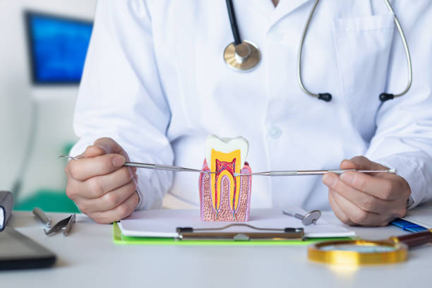 Best Emergency Tooth Extraction in Stockton, UT